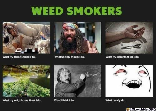 WeedZone101's tweet photo. https://t.co/eApirCFtWM