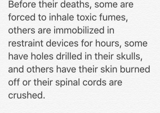 stoptesting77's tweet image. Help end the torture