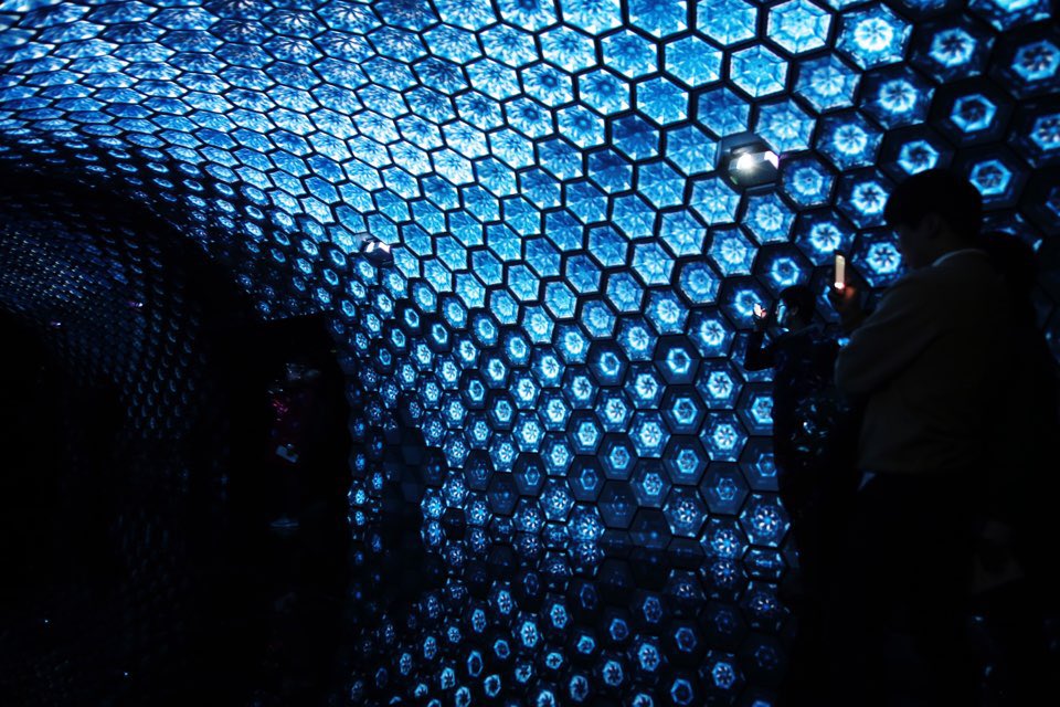 #디뮤지엄 at 한남동
수천 개의 육각형 타일로
이루어진 빛의 물결

디뮤지엄 개관 특별전
Spatial Illumination-9 Lights in 9 Rooms

Tundra, My Whale, 2015