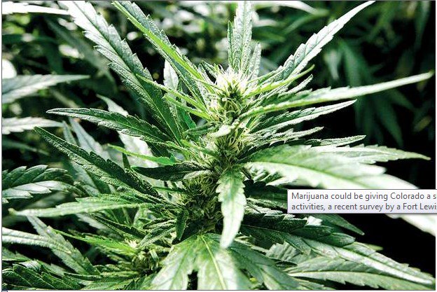 SuperSemillas's tweet photo. Encuesta en Durango: la marihuana no es un factor importante turístico  - https://t.co/si3pTopJh8 https://t.co/qzaKj5t7Yf
