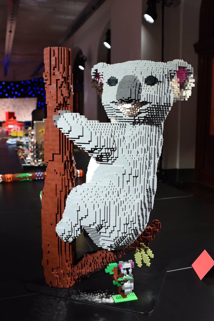 ellymariasymons's tweet photo. #RyanMcnaught aka the BrickMan's piece of #Australia #Brisbane #Lego https://t.co/8uPLXiei97