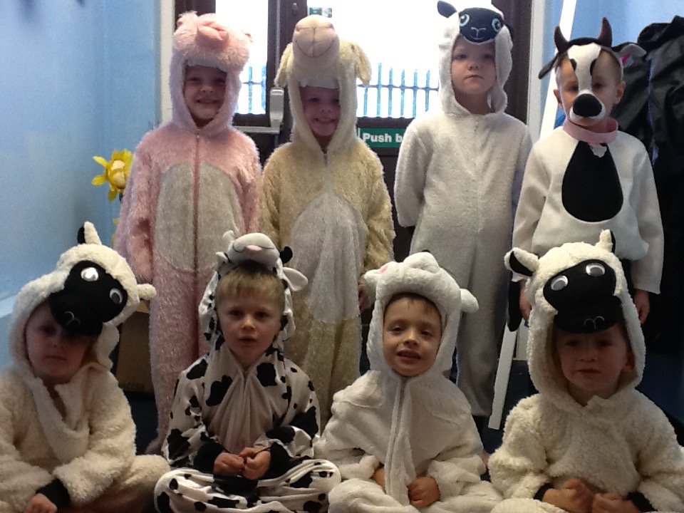 portmeadp's tweet photo. Animals are ready for the show #pmdppse https://t.co/7EzGtVNuGI