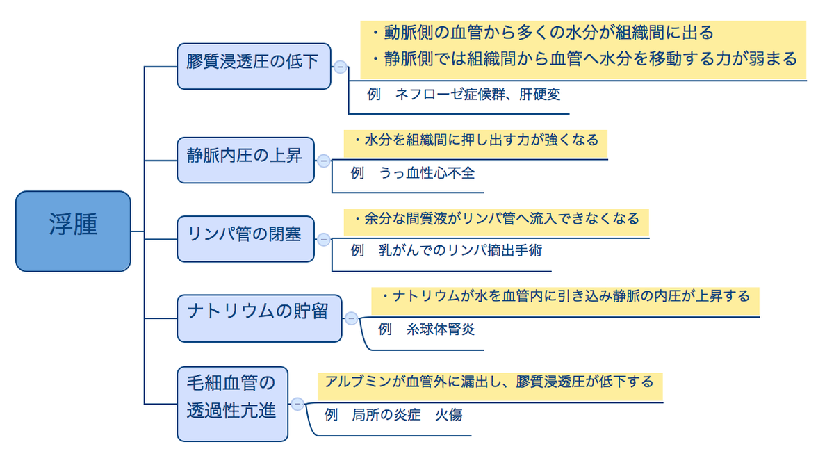 ゴロ 解剖生理イラスト 浮腫の原因まとめ T Co Fgj0wqyc5b