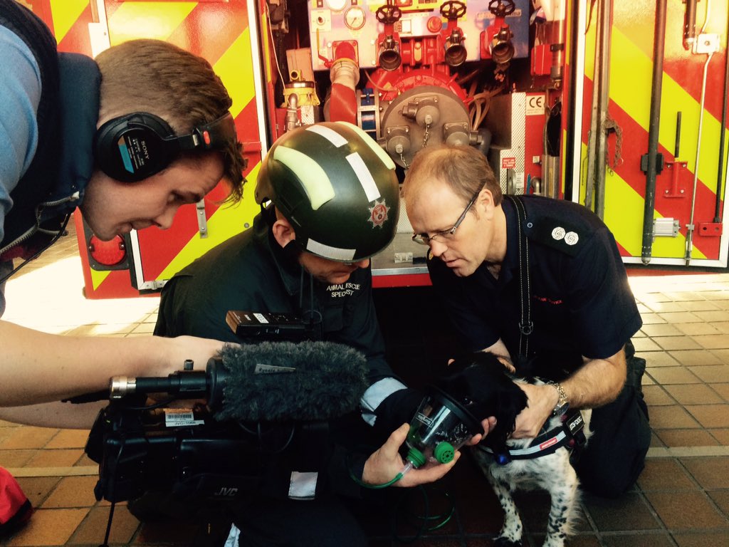 Lyndhurst48's tweet image. We had a visit from the arson dogs today to hand over the smoky paws oxygen masks, will be on BBC South Today 6.30pm