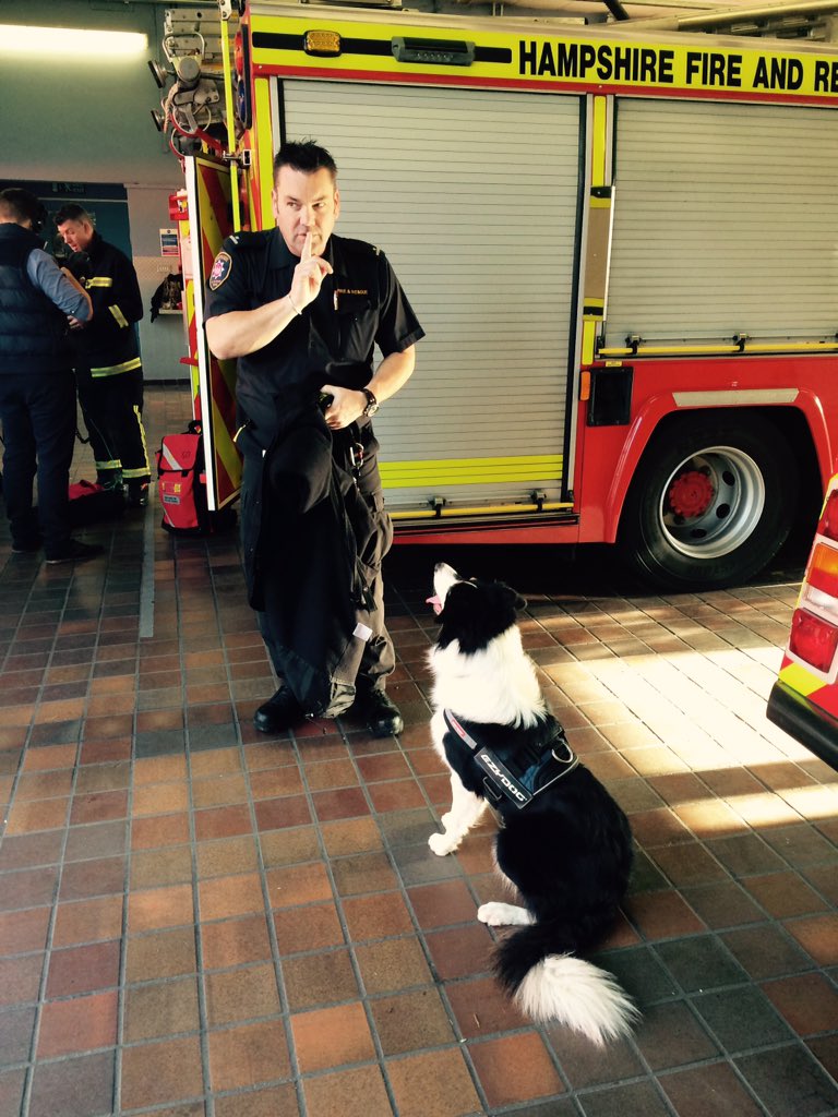 Lyndhurst48's tweet image. Harvey being quiet whilst filming!