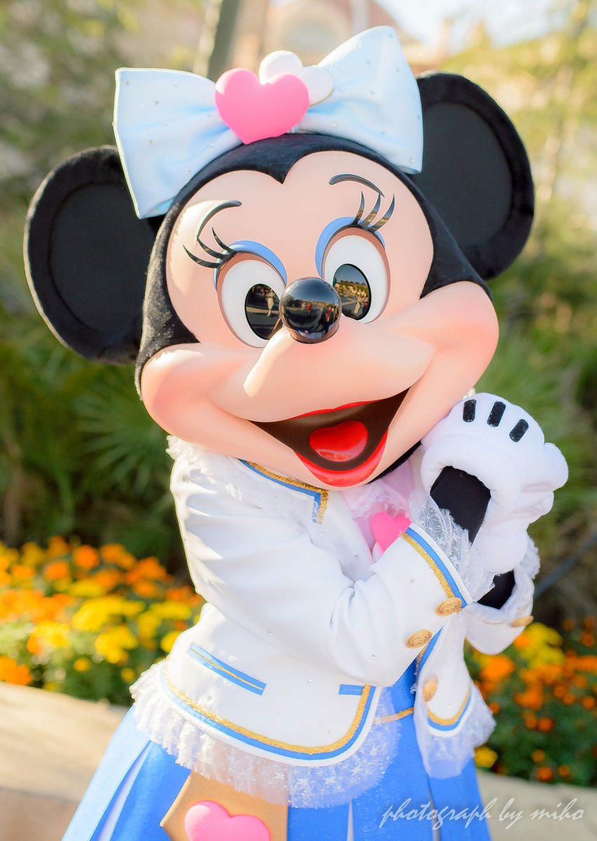 mihomns's tweet photo. #TLをロマンスちゃんに
便乗～♡♡
ロマンスちゃんだいすき♡♡←再掲 https://t.co/SgXHJptw2w