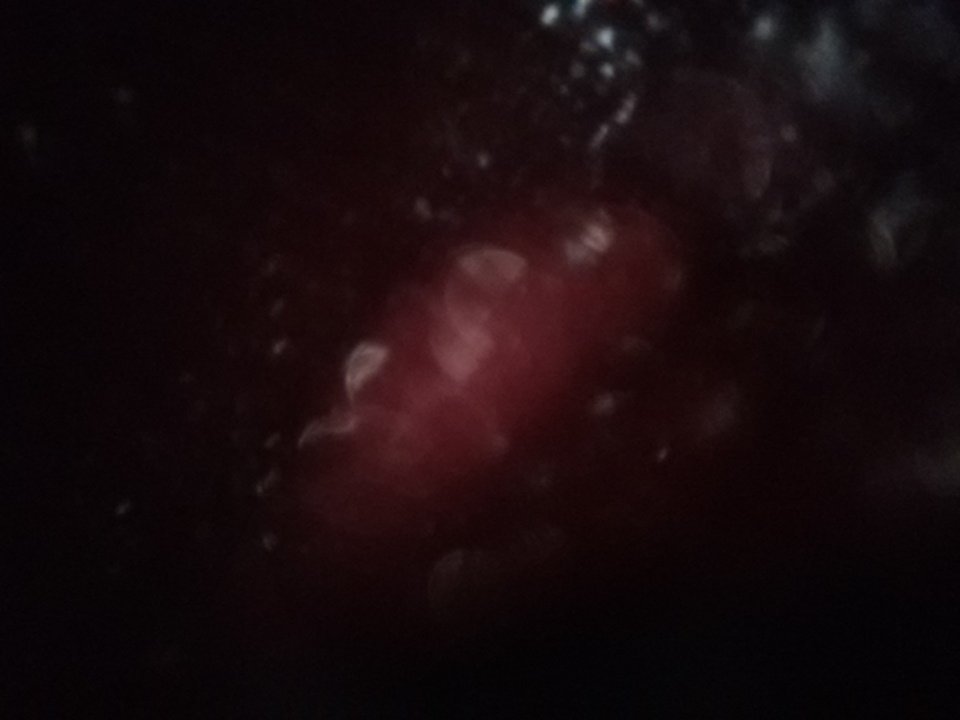 maloca54 tweet picture