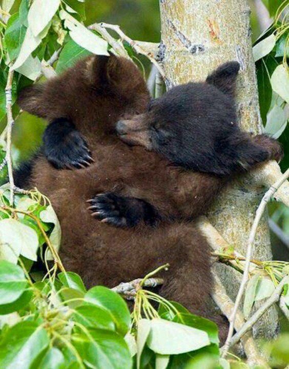 Don't worry, exams are over soon. XO