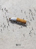JonyGarisson's tweet image. Mes nouvelles réalisations contre la pollution sur les plages! #pollution #plastique #cigarette #agissons