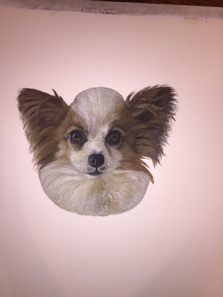 RAWPortraitArt's tweet photo. Afternoon everyone! #woofwoofwednesday here's another doggy update for you all..nearly there now. 😊 https://t.co/ofdddt7p4A