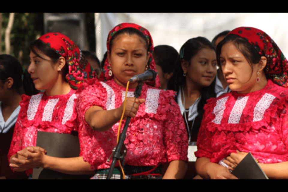 hojapublica's tweet photo. Dudan mujeres haya paridad en candidaturas -  https://t.co/QgagwQqhXF https://t.co/8T77HJIE38