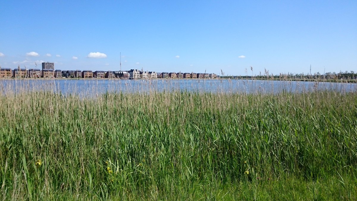 Berrie_ve_r's tweet photo. @SheilaBoudreau @henkovink @RyUrbanWater @nmlister @NLinToronto #dephosphating #circulation #peakstorage #hydrophyte https://t.co/aNV3wzHfst