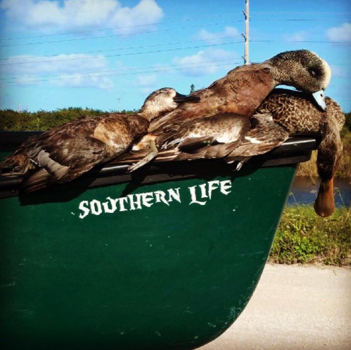 SouthernLifeApp's tweet image. If it flies, it dies! 
#SouthernLife #duck #hunting #outdoors