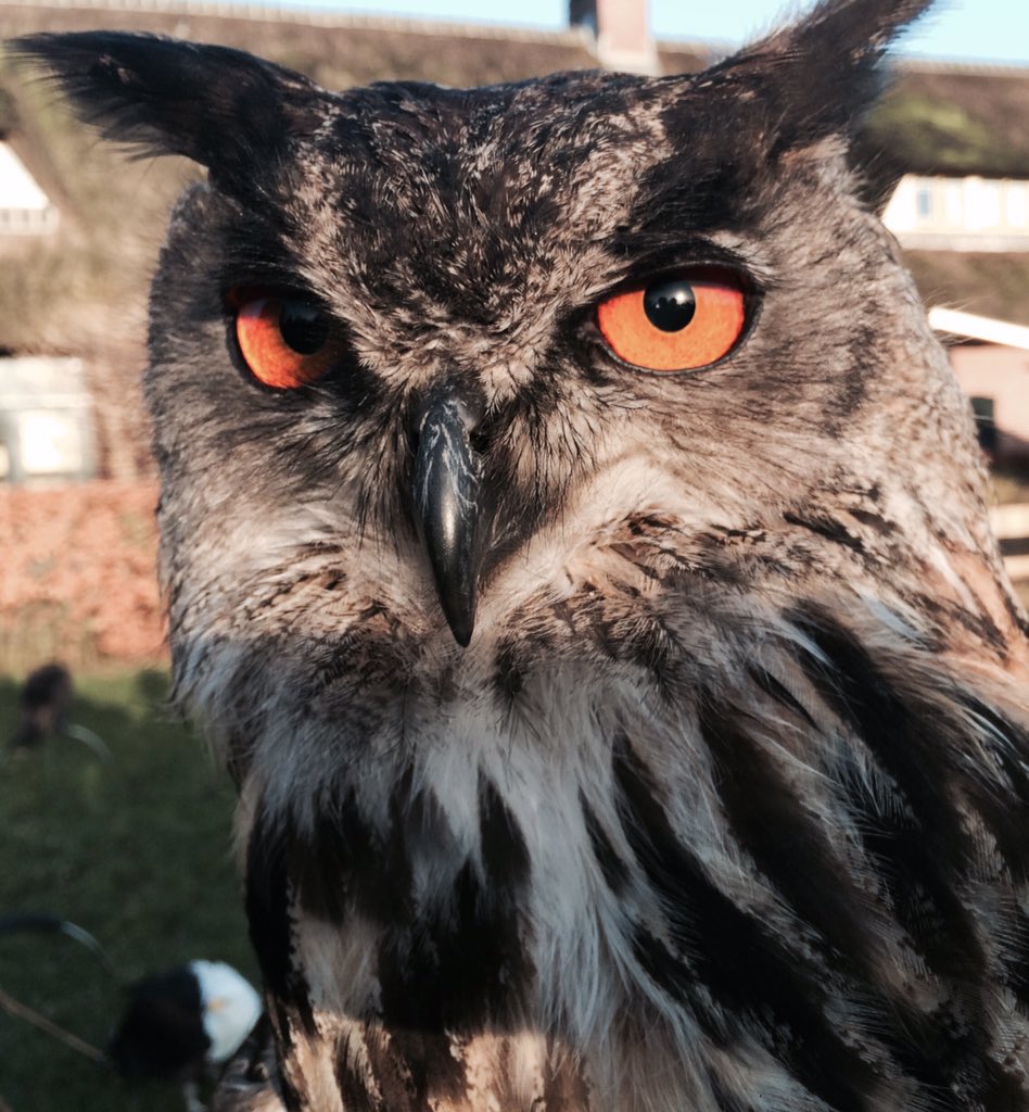 Onder collegiaal toezicht richtinggevende gesprekken met oa collegae inspectie en politie over aanpak #ondermijning