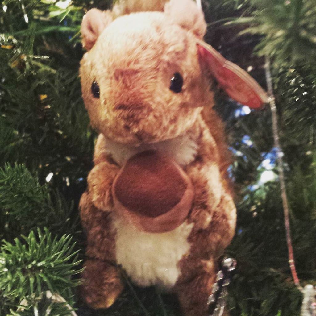 petite_planner's tweet photo. Homage to the movie "Christmas Vacation " #christmascountdown #christmasvacation #squirrelintree #decoration https://t.co/ewXTRYvI6x