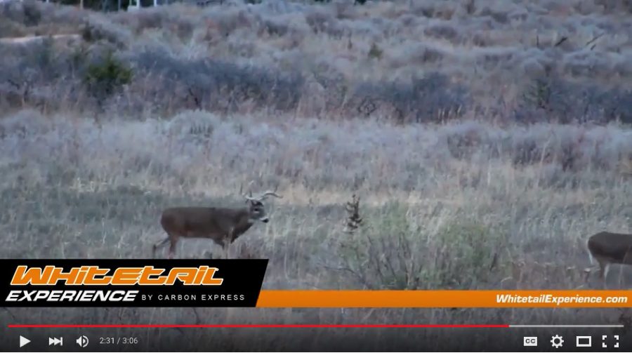 CarbonExpress's tweet photo. .@SoloHunterTV goes into more detail about #huntingwhitetail on #publicland - watch now!
https://t.co/9vFCzaE9Vv https://t.co/qbu7FPc0qj