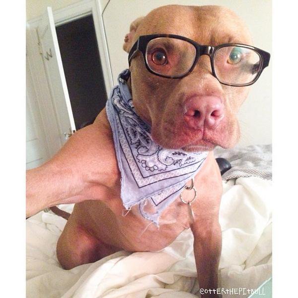 CuteAnimalsBaby's tweet photo. Selfie! https://t.co/tq7ZV8v9Hq