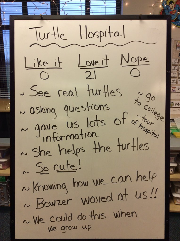 AngieGraddy's tweet photo. Thanks for the awesome #skype #theturtlehospital. We learned a lot about sea turtles! #jbsrocks #gcscpride https://t.co/G30nCH3qdn