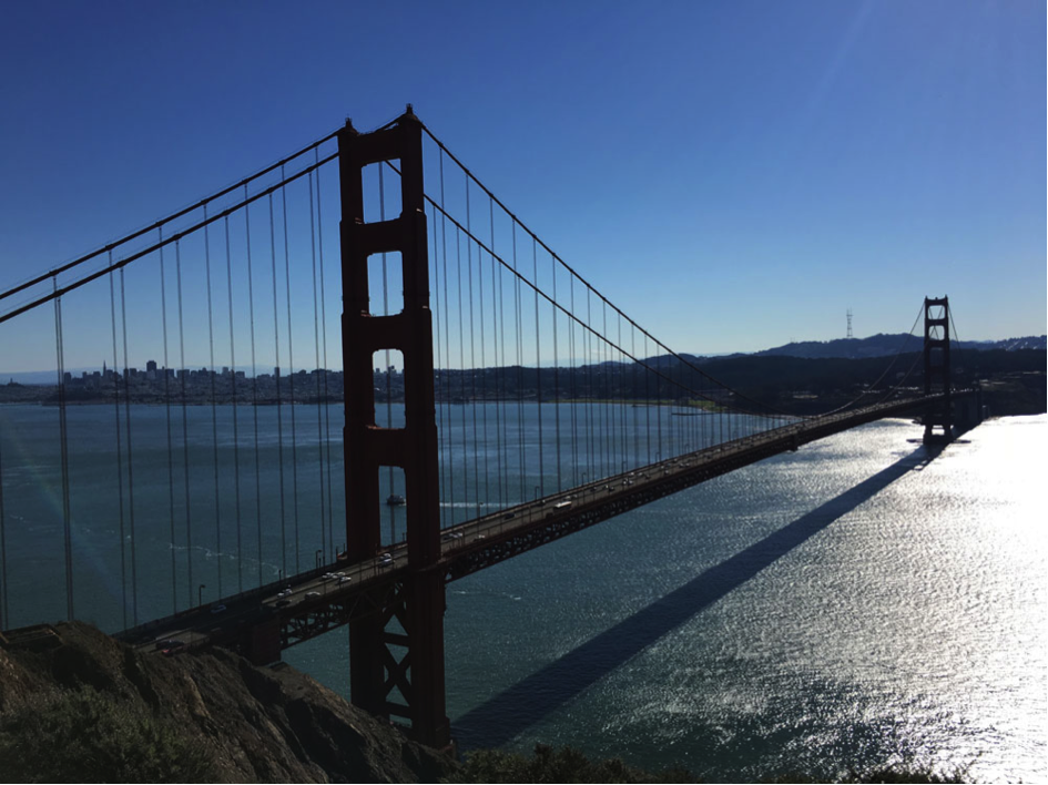 Stine Norum tweet media