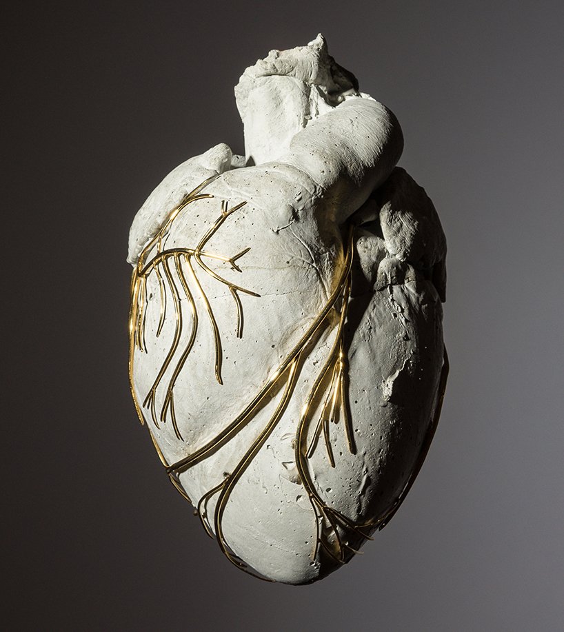 isaac monté and toby kiers manipulate organs for aesthetic purposes
designboom.com/art/isaac-mont…