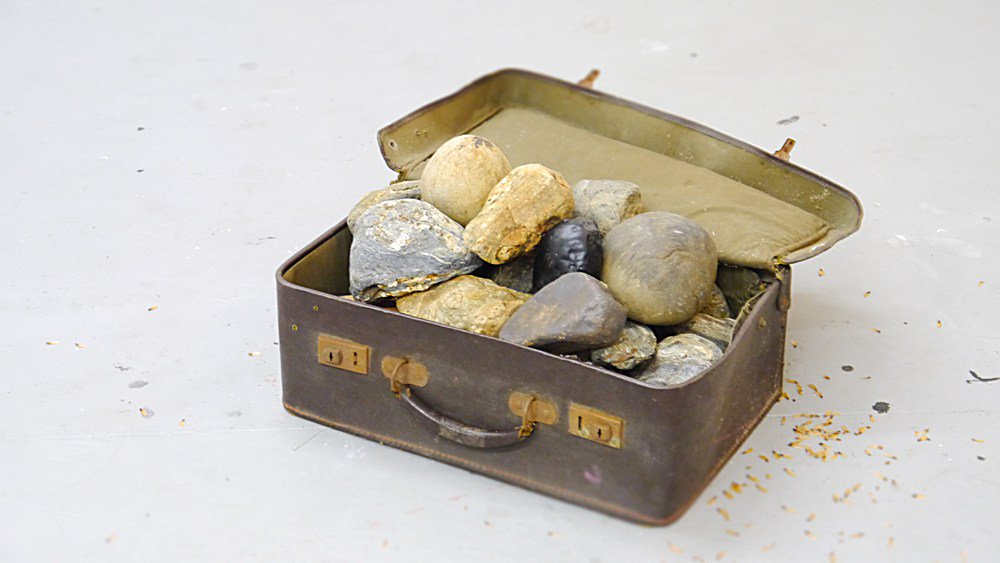 anjammarais's tweet image. Notes from my Vermont Studio Center Residency #anjamarais #vermontstudiocenter #artistnotes anjamarais.com/notes-from-my-…