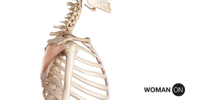 Woman_On's tweet photo. Every 3 seconds, someone experiences a fracture due to osteoporosis. Learn more at https://t.co/N14tbyDKsO https://t.co/wErzXUkYLN