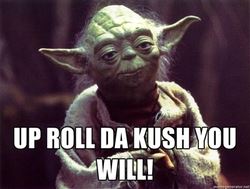 LegalizeIt102's tweet photo. https://t.co/J5mr299OZP
