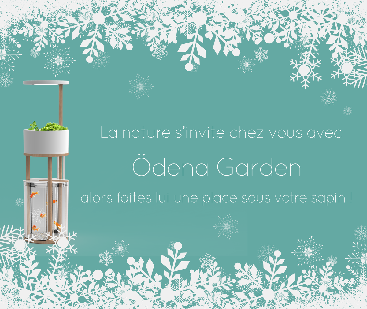 OdenaHome's tweet photo. Looking for an original green gift? Vous cherchez un cadeau green et original?  https://t.co/dS7ImrOKdK https://t.co/KwWU6wBwzo