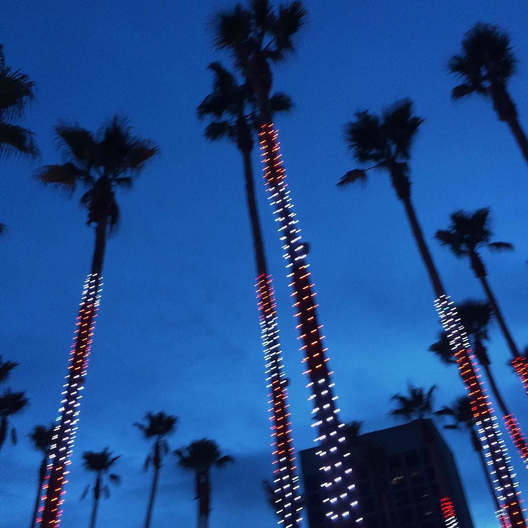 San Jose Downtown tweet media