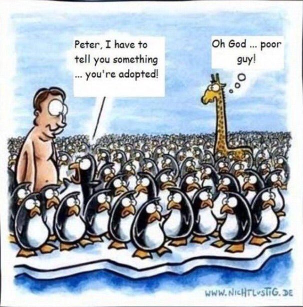 _facethefuture_'s tweet image. Lol. #fail #lol #funny