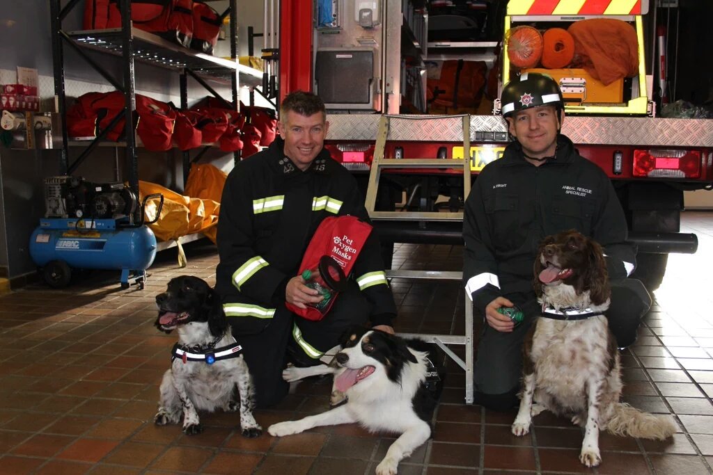 HantsFireDogs's tweet image. Watch @BBCSouthToday at 18:30 and find out about our new @helpsmokeypaws animal oxygen masks funded by @Denplan