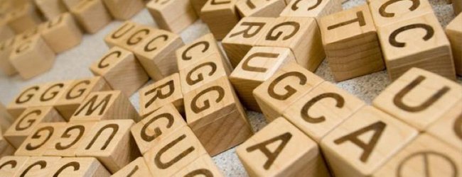 Daniel Goldstein tweet media