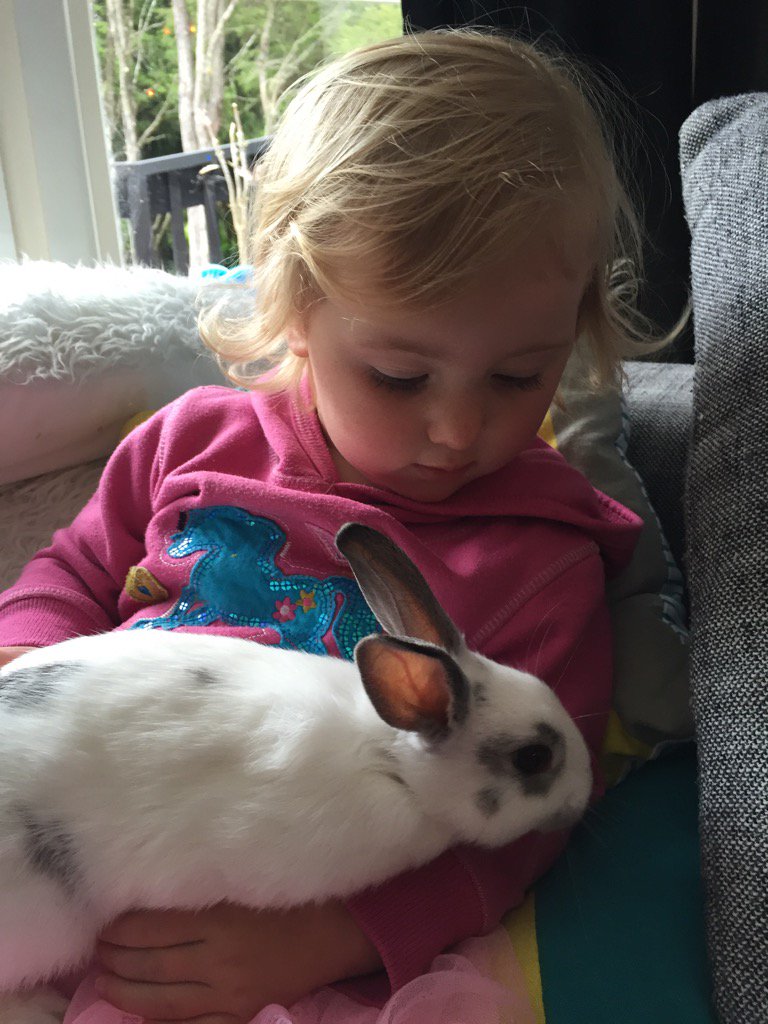 alanparry's tweet photo. Drop off at Paula's today. No goodbye for daddy :(. #damnrabbit #babyparry https://t.co/C3QYHLWFtE