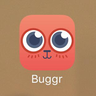 buggr_cat tweet picture
