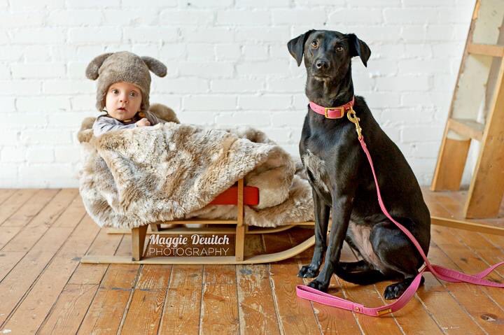 TEAMDogResQ's tweet image. HOUND COLLECTION: Our kids weren't the only ones who needed to look good, @HoundCollection styled our dogs to a T.