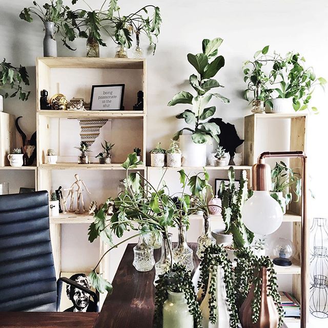 presentspaceCT's tweet photo. #Repost @miawidlake ・・・ All planty and lovely #presentspacect #presentspaceoffice https://t.co/4CXoUnZG9y