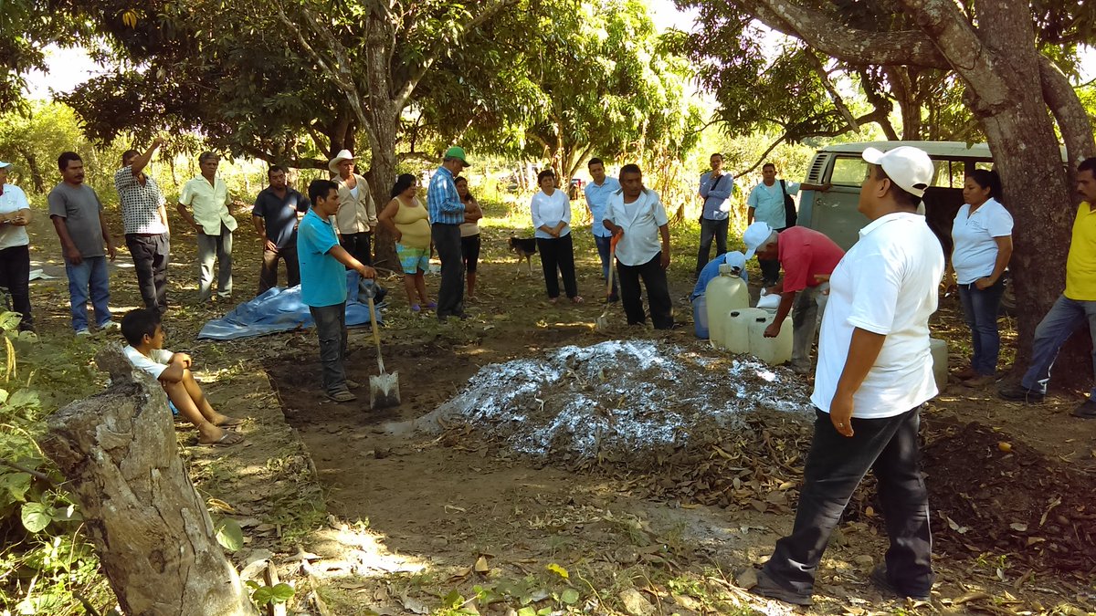 ORMIXGRO's tweet photo. Excelentes resultados después de meses de asesoría técnica a productores de Maíz @VickyTrani @SAGARPA_mx @incarural https://t.co/wK96SEB6tu