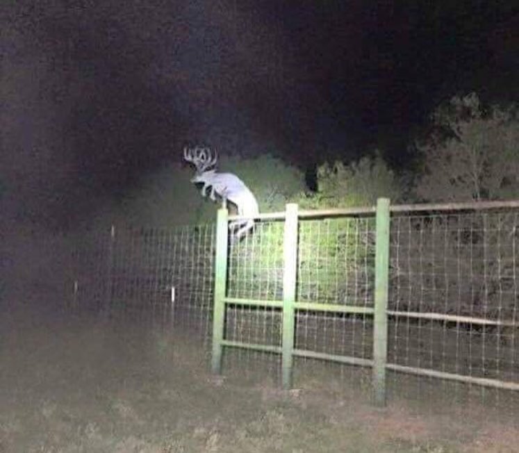 Real or fake? #TalkAboutHops