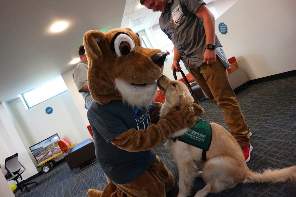 TukwutLife's tweet image. Finals stressing you out? Come to to De-Stress Fest in the USU Ballroom at 6pm! #CSUSM #TukwutLife