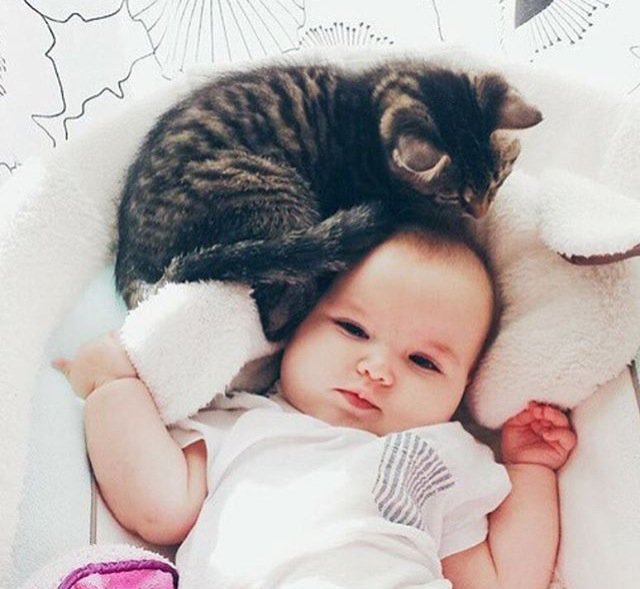 BasmahJamal's tweet photo. حلوين. 😻😸❤️ https://t.co/ZhJhjlUCWb