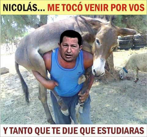 Milagro Zuleta Ariza tweet media