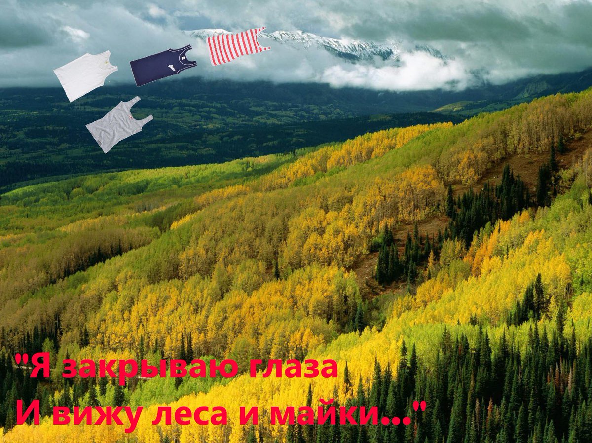LeninsArmCar's tweet photo. #Аргентина #Ямайка #Чайф Другое понимание песни группы Чайф "Аргентина - Ямайка": https://t.co/HucsG4HAAX