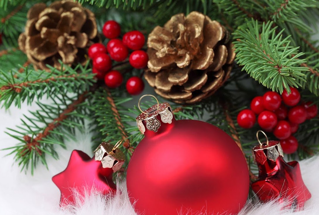 De Alert-groep Appelscha wenst al haar relaties en bekenden hele fijne kerstdagen en een voorspoedig 2016