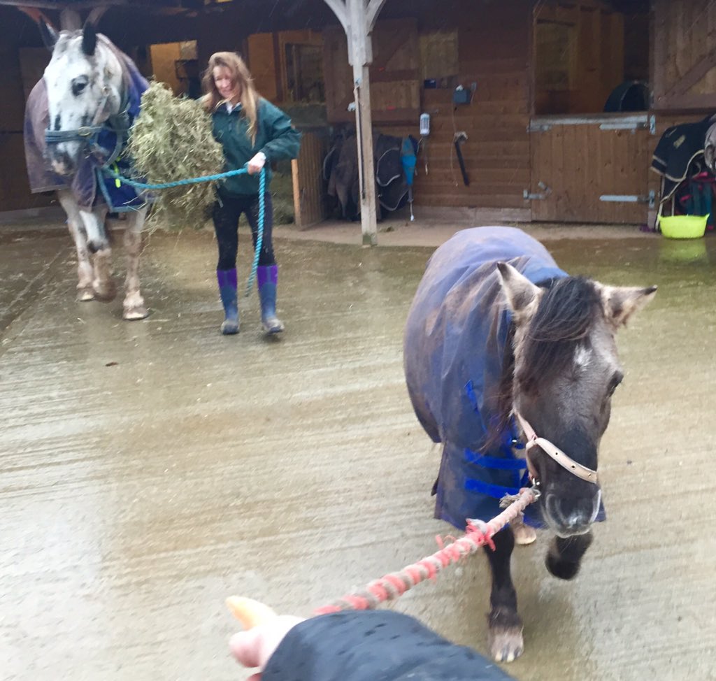 RichardHammond's tweet photo. Why do I have to lead the 1/2 horsepower one? Every time. https://t.co/SNmpRPE5Iq