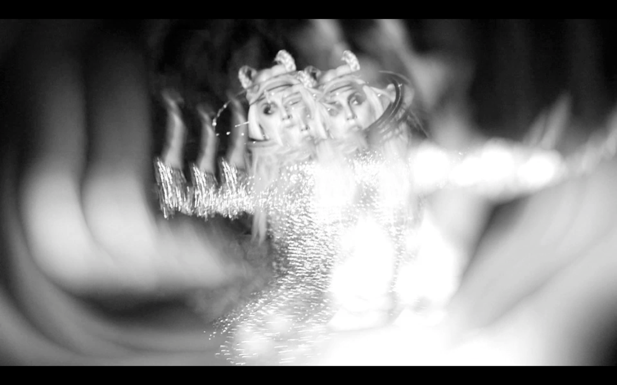 SHOWstudio tweet media