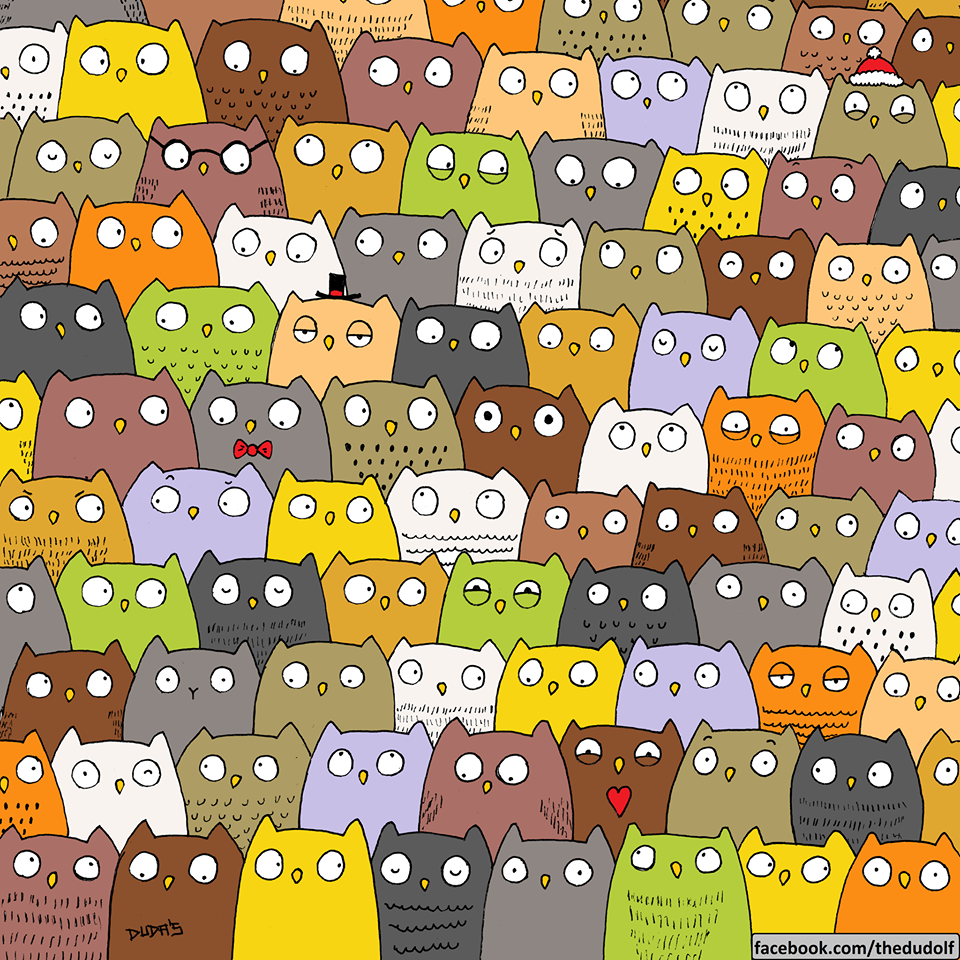InstamemeCo's tweet photo. Puzzle Time 2.0. There is a hidden cat in the midst of a horde of owls. 
https://t.co/7YBeCDeDhJ
#instameme #meme https://t.co/4JMk5q2Gf5