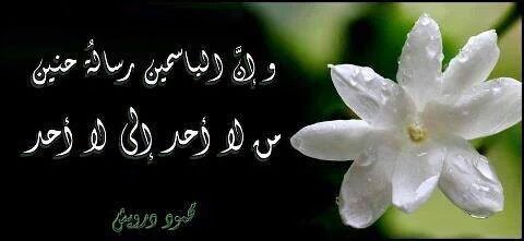 صباح ورد الياسمين النقي الفواح
لكل المرابطين 
يدافعون عنا في هذا البرد والمطر
اللهم أنزل عليهم دفئك واحفظهم وانصرهم