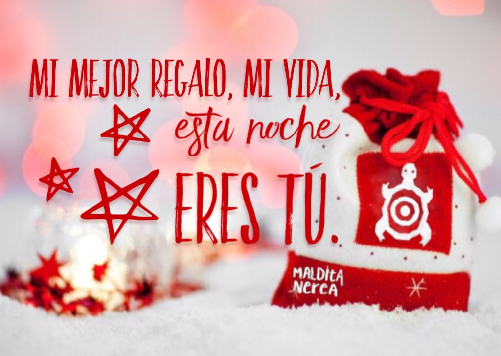 Ya se siente la Navidad... ¡Muchos abrazos para ustedes, queridas tortugas!🎄🐢