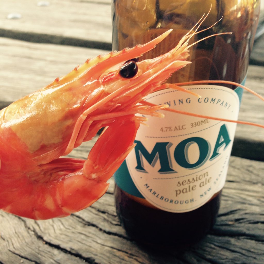 RV2312's tweet image. This Aussie prawn is trying to steal my New Zealand beer. I don't blame it.  #sessionpaleale #matchmadeinheaven