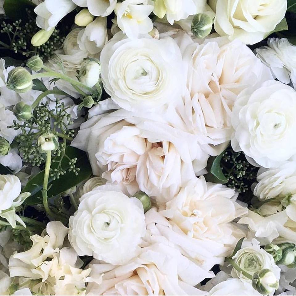 Gorgeous blooms  #weddinginspo #weddingflowers #weddingbouquet #freshflowers #freshbloom #ivoryflowers #bloom